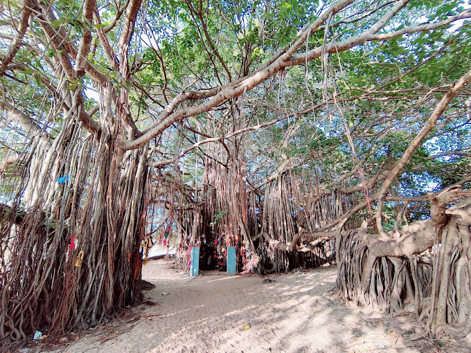 Nambu Nayaki Amman Temple